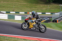 Middle Group Multicolour Bikes